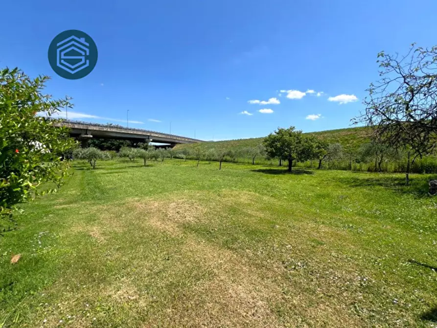 Immagine 34 di Rustico / casale in vendita  in via torricella 125 a Campi Bisenzio