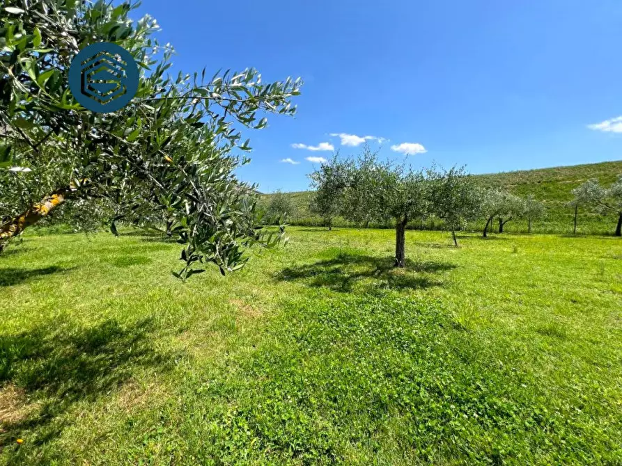 Immagine 35 di Rustico / casale in vendita  in via torricella 125 a Campi Bisenzio