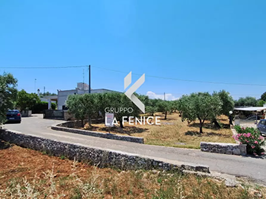 Immagine 7 di Terreno in vendita  in c.da Pentimi a Locorotondo
