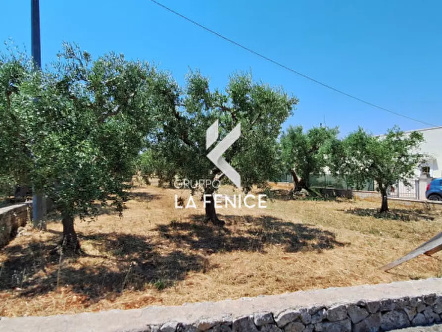 Immagine 12 di Terreno in vendita  in c.da Pentimi a Locorotondo