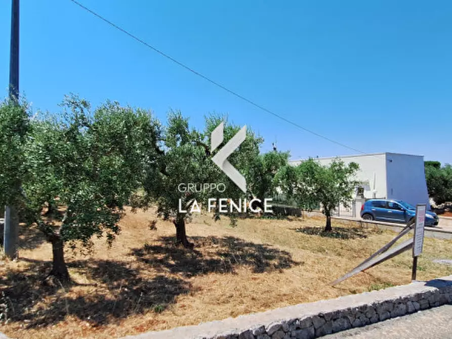 Immagine 14 di Terreno in vendita  in c.da Pentimi a Locorotondo