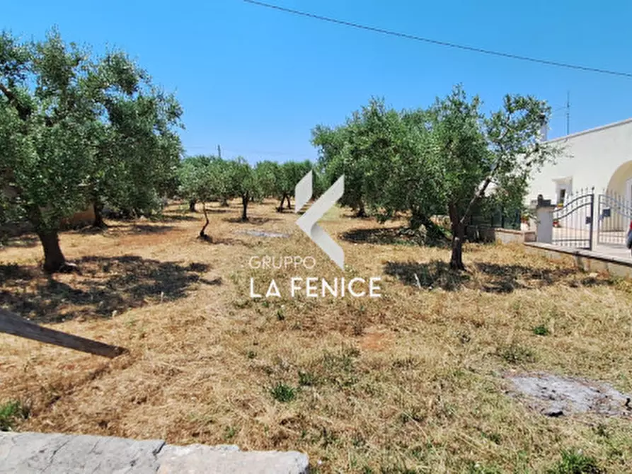 Immagine 16 di Terreno in vendita  in c.da Pentimi a Locorotondo