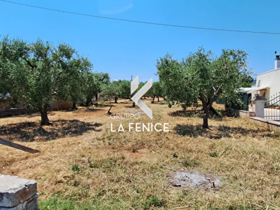 Immagine 17 di Terreno in vendita  in c.da Pentimi a Locorotondo