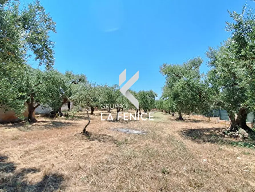 Immagine 20 di Terreno in vendita  in c.da Pentimi a Locorotondo