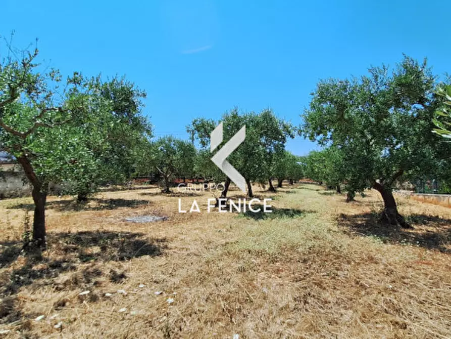 Immagine 21 di Terreno in vendita  in c.da Pentimi a Locorotondo