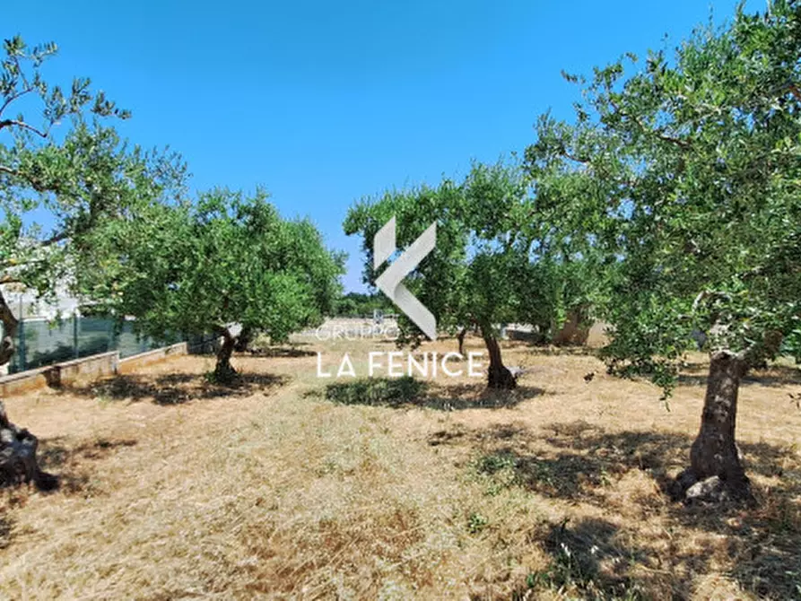 Immagine 28 di Terreno in vendita  in c.da Pentimi a Locorotondo