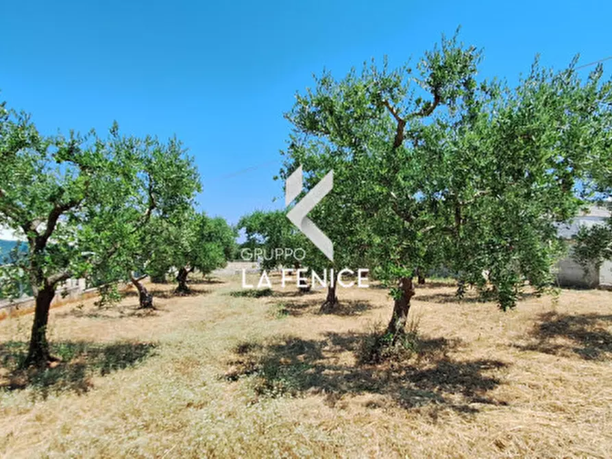 Immagine 29 di Terreno in vendita  in c.da Pentimi a Locorotondo