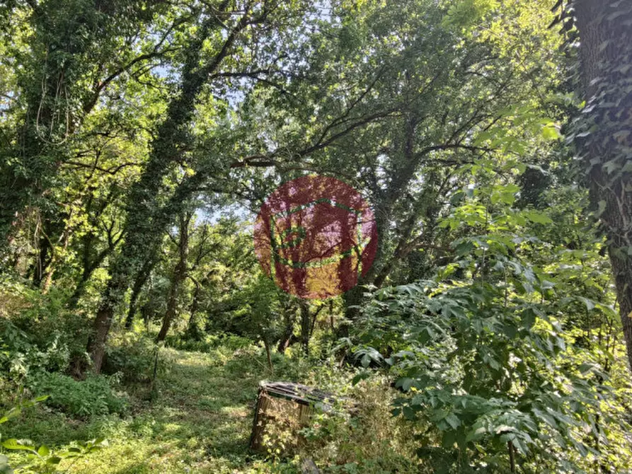 Immagine 7 di Rustico / casale in vendita  in Via Delle Cave 15 a Poggio Torriana