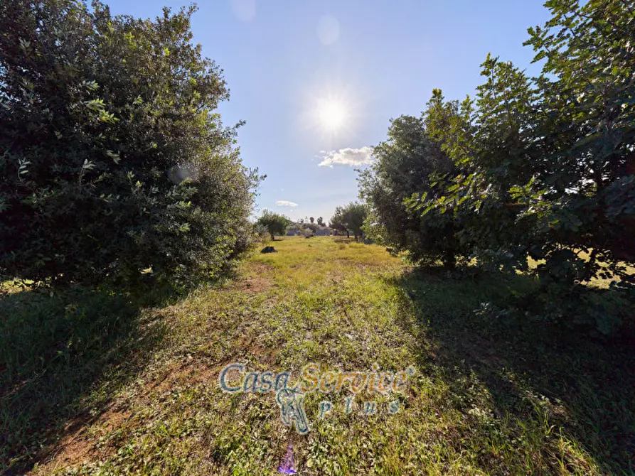 Immagine 34 di Villa in vendita  in Via Gallipoli a Gallipoli