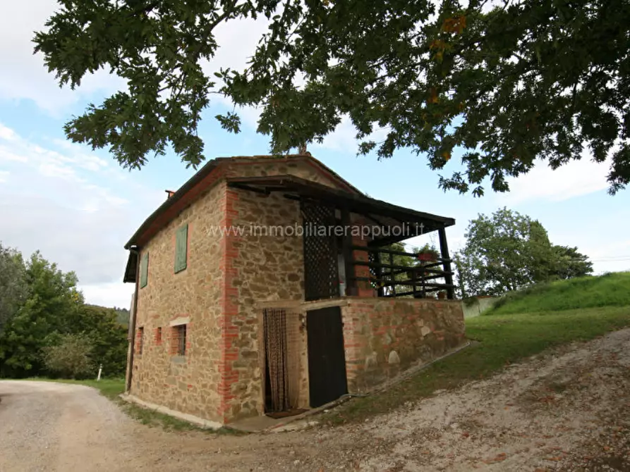 Immagine 1 di Magazzino in vendita  a Monte San Savino