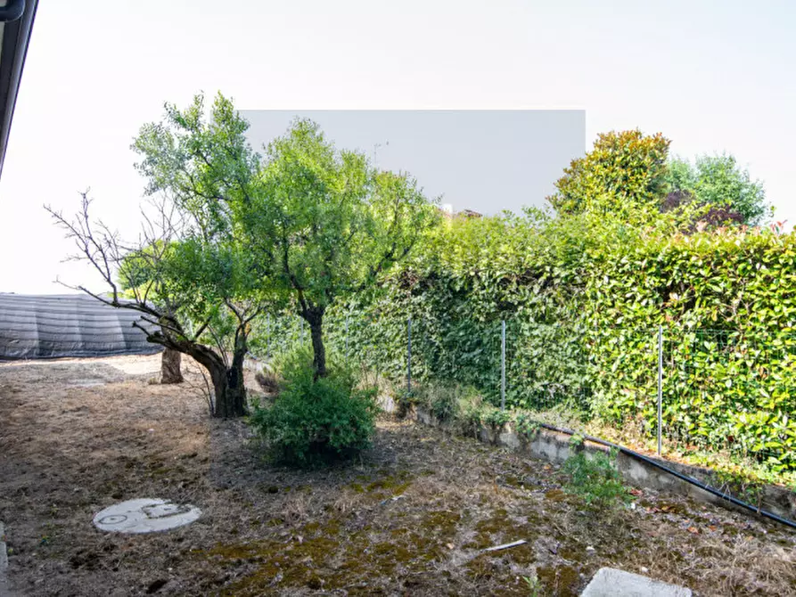 Immagine 36 di Casa indipendente in vendita  in via Comacchio a Lusia