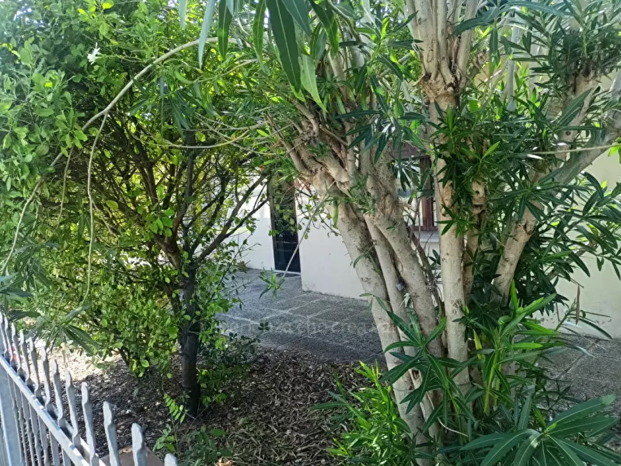 Immagine 37 di Casa indipendente in vendita  in via Comacchio a Lusia