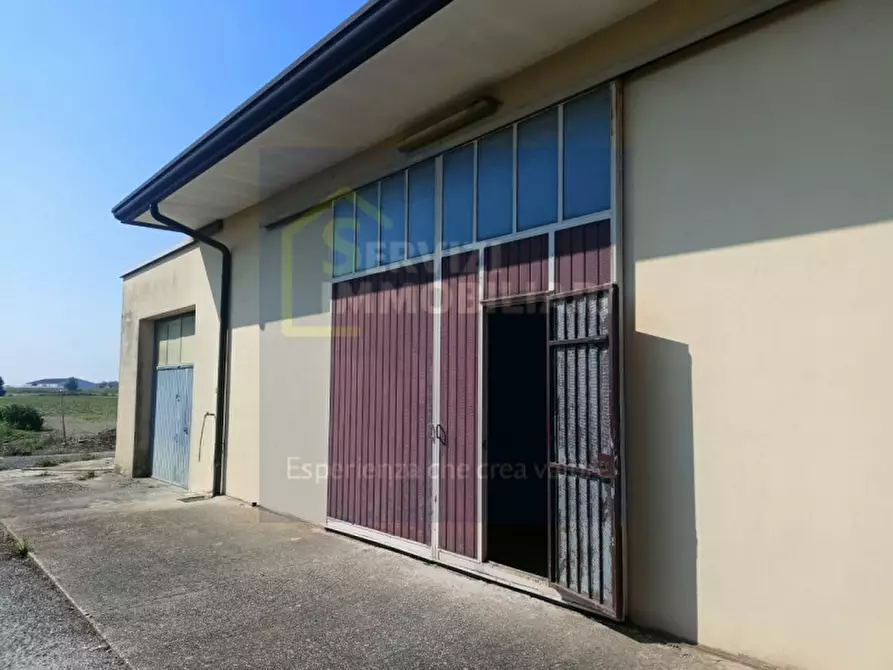 Immagine 39 di Casa indipendente in vendita  in via Comacchio a Lusia