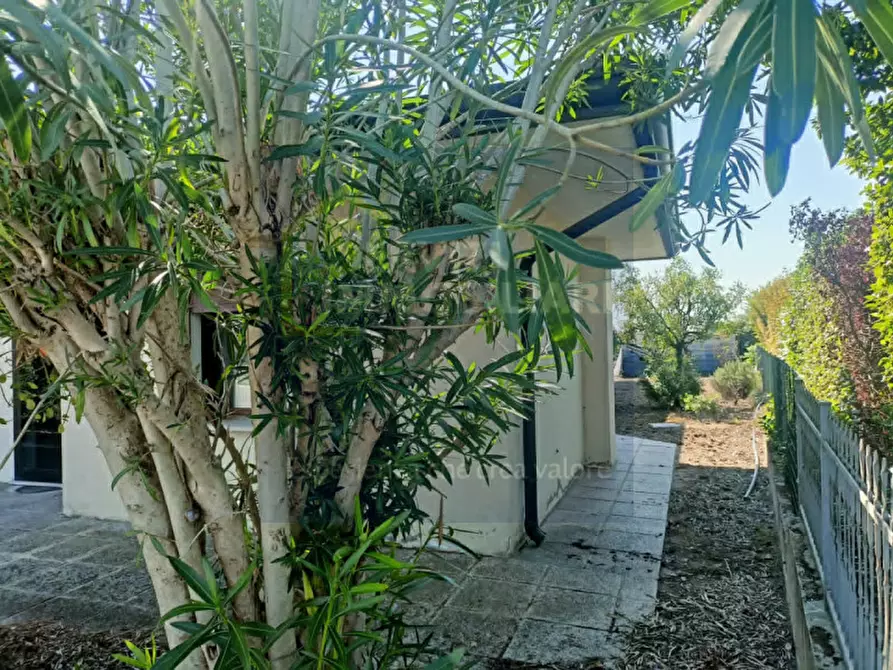 Immagine 40 di Casa indipendente in vendita  in via Comacchio a Lusia