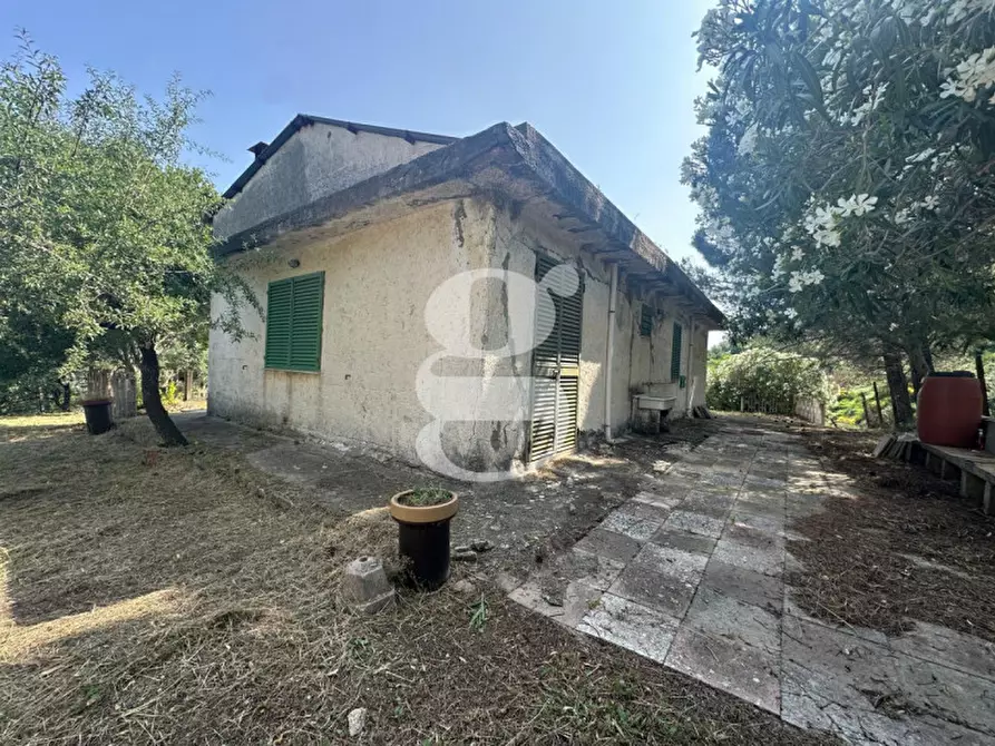 Immagine 2 di Casa indipendente in vendita  in Contrada Manducina a Gualtieri Sicaminò