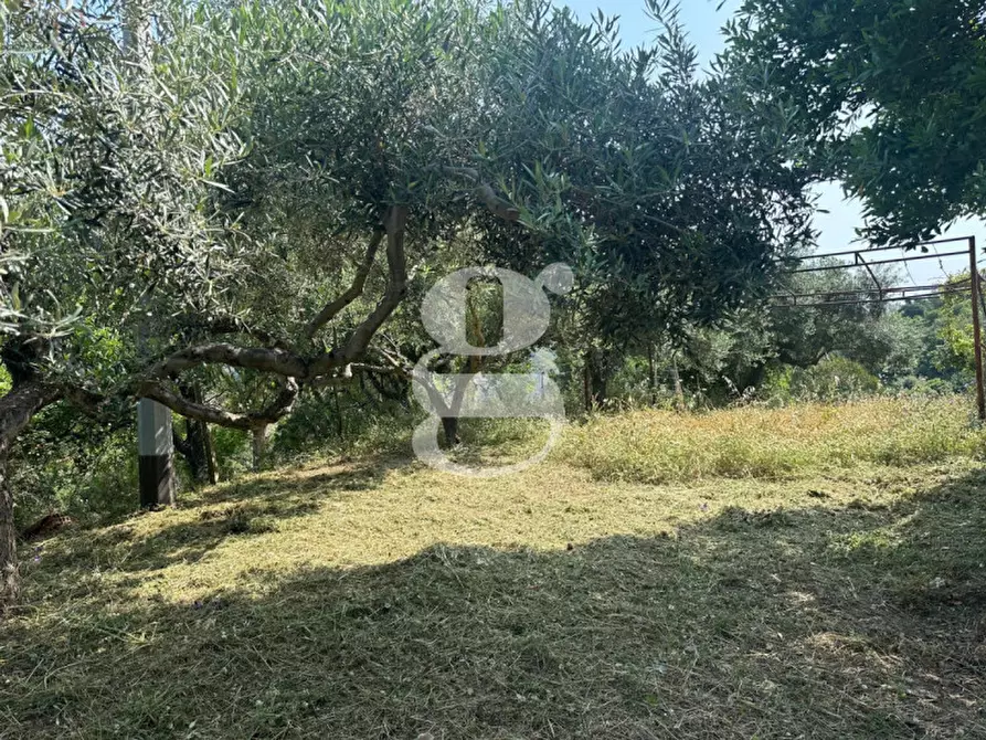 Immagine 11 di Casa indipendente in vendita  in Contrada Manducina a Gualtieri Sicaminò