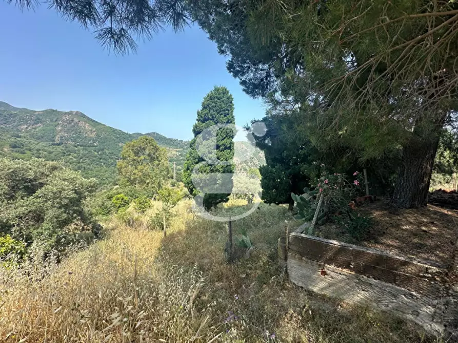 Immagine 17 di Casa indipendente in vendita  in Contrada Manducina a Gualtieri Sicaminò