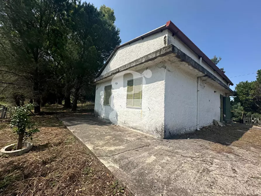 Immagine 20 di Casa indipendente in vendita  in Contrada Manducina a Gualtieri Sicaminò