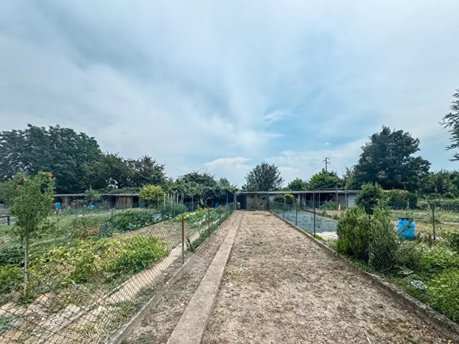 Immagine 22 di Appartamento in vendita  in via circonvallazione  20 a Momo