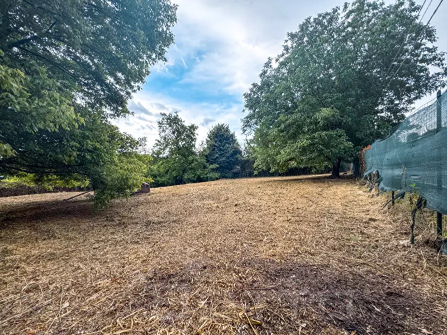 Immagine 2 di Terreno in vendita  in via madonna della motta  4 a Dormelletto