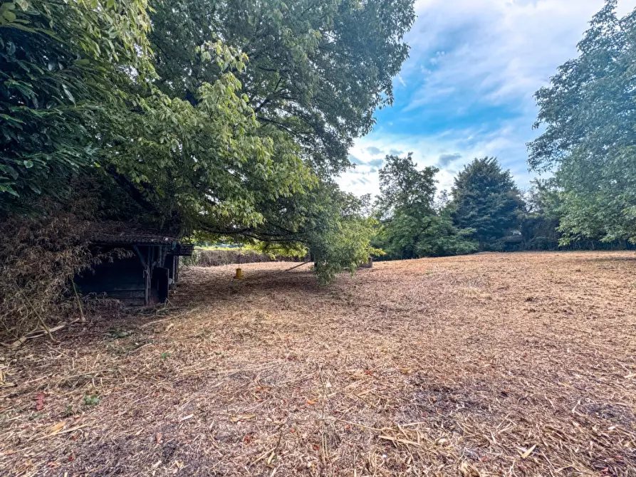 Immagine 3 di Terreno in vendita  in via madonna della motta  4 a Dormelletto