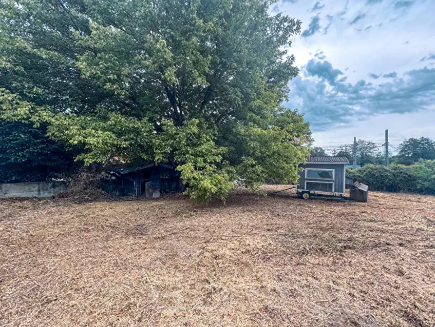 Immagine 4 di Terreno in vendita  in via madonna della motta  4 a Dormelletto