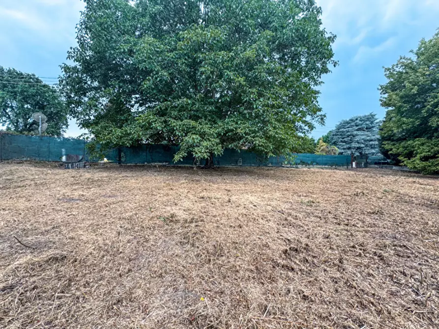 Immagine 7 di Terreno in vendita  in via madonna della motta  4 a Dormelletto