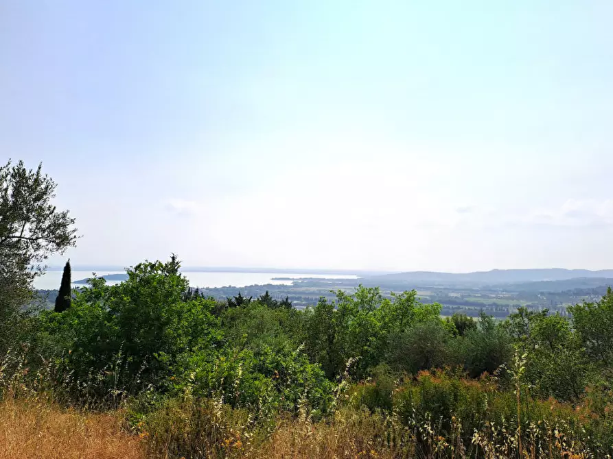 Immagine 1 di Terreno in vendita  in loc Toppello a Passignano Sul Trasimeno