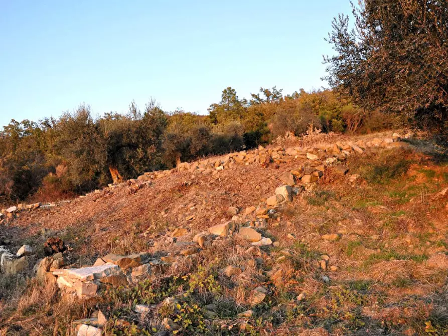Immagine 2 di Terreno in vendita  in loc Toppello a Passignano Sul Trasimeno