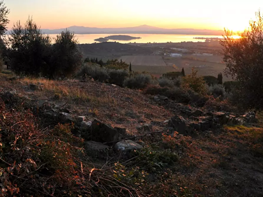Immagine 3 di Terreno in vendita  in loc Toppello a Passignano Sul Trasimeno