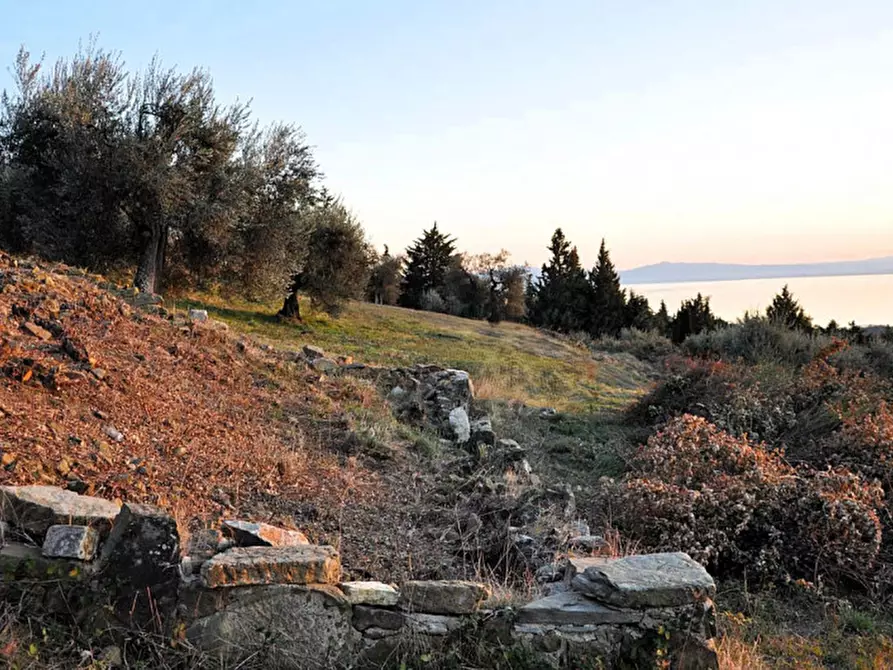 Immagine 4 di Terreno in vendita  in loc Toppello a Passignano Sul Trasimeno