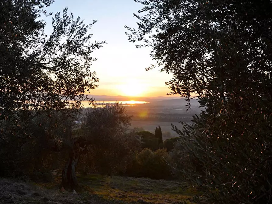 Immagine 6 di Terreno in vendita  in loc Toppello a Passignano Sul Trasimeno