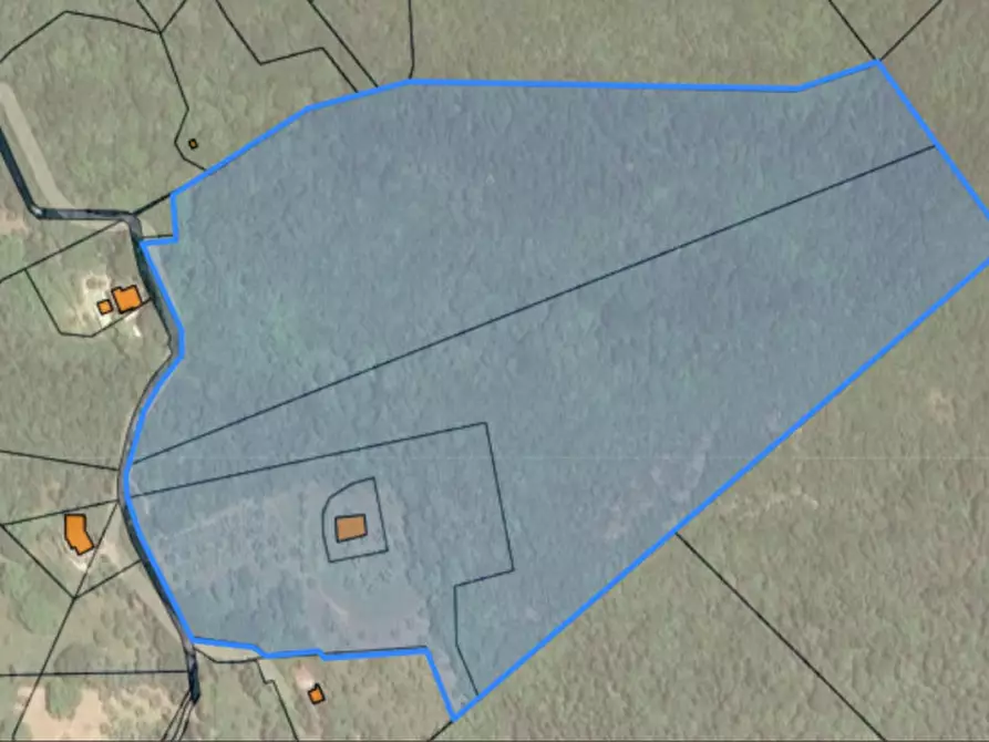 Immagine 7 di Terreno in vendita  in loc Toppello a Passignano Sul Trasimeno