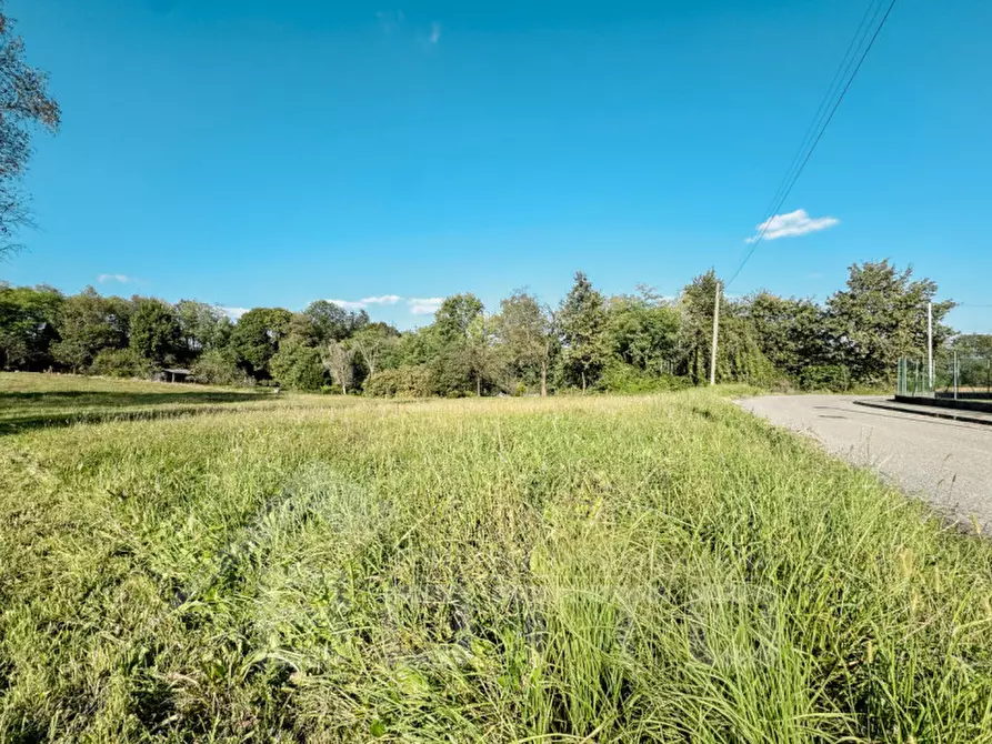 Immagine 1 di Terreno in vendita  in cascina enea a Cureggio