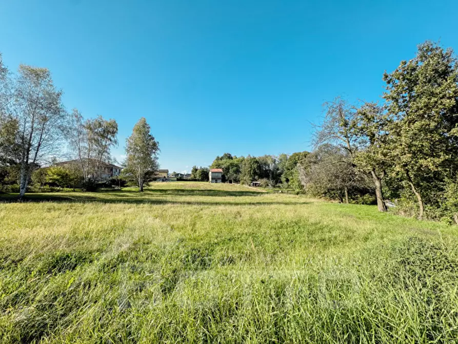Immagine 3 di Terreno in vendita  in cascina enea a Cureggio
