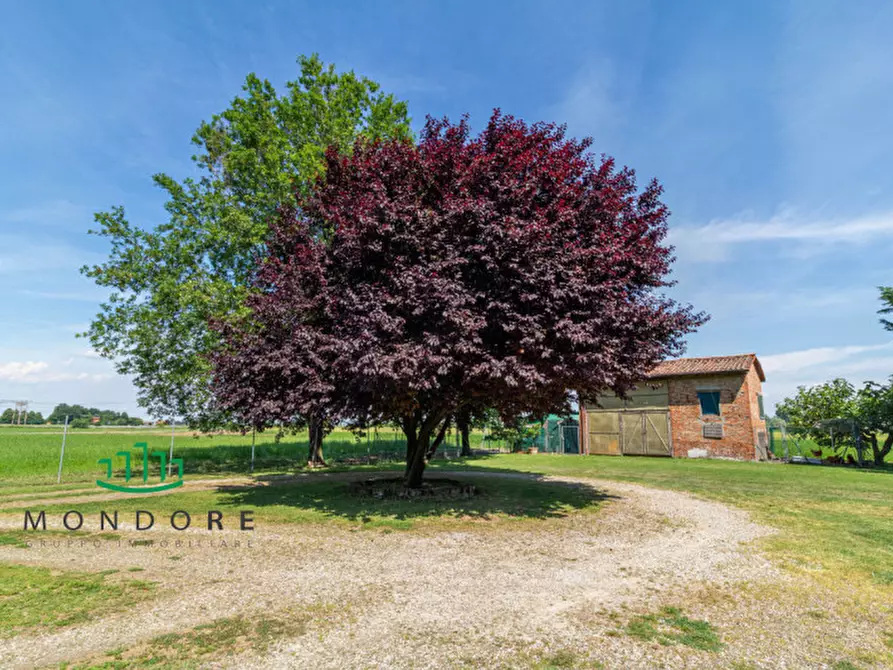 Immagine 39 di Casa bifamiliare in vendita  in Via Pilastrino a Castel San Pietro Terme