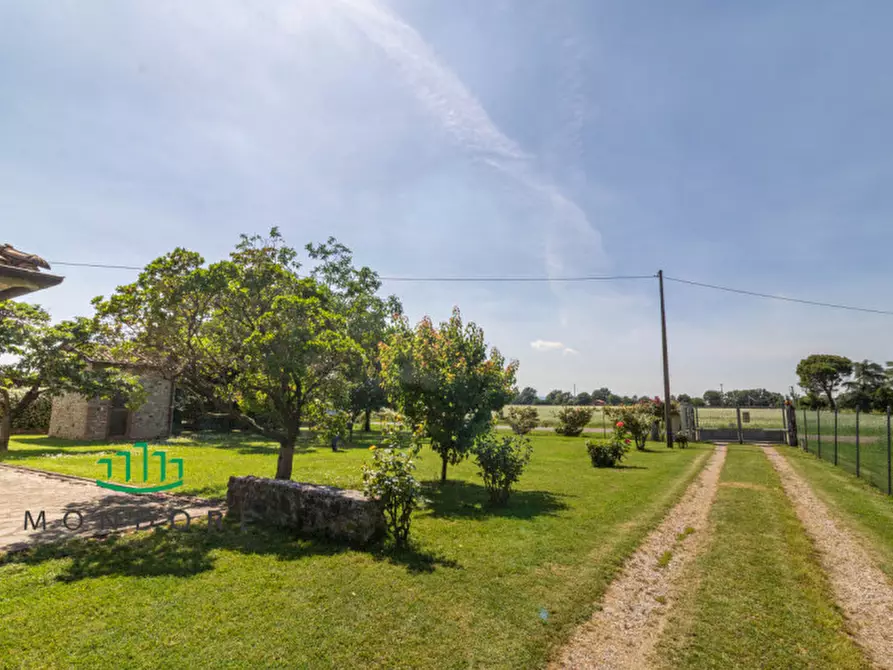 Immagine 41 di Casa bifamiliare in vendita  in Via Pilastrino a Castel San Pietro Terme