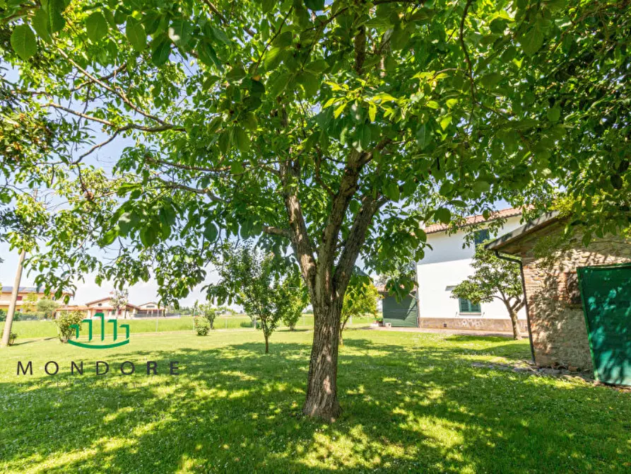 Immagine 42 di Casa bifamiliare in vendita  in Via Pilastrino a Castel San Pietro Terme
