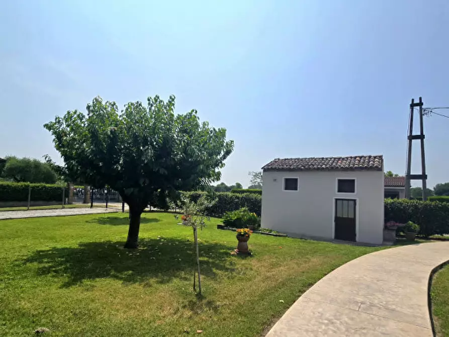 Immagine 4 di Casa bifamiliare in vendita  in via tresto sud a Ospedaletto Euganeo