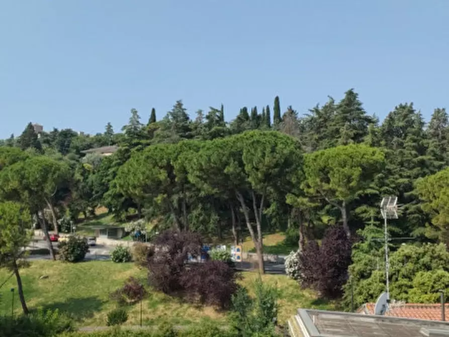 Immagine 4 di Attico in affitto  in VIA MATILDE SERAO a Cesena