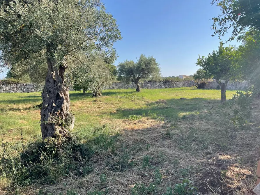 Immagine 19 di Casa indipendente in vendita  in via comunale passo gatta cozzo lupi a Modica