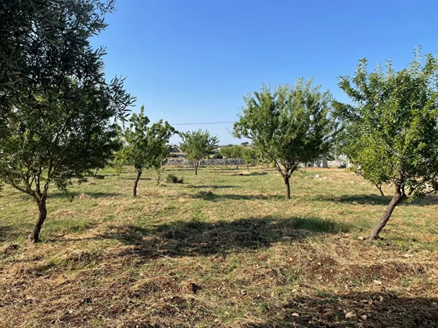 Immagine 20 di Casa indipendente in vendita  in via comunale passo gatta cozzo lupi a Modica