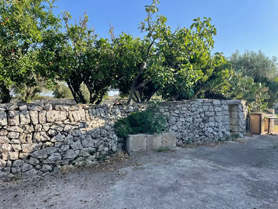 Immagine 46 di Casa indipendente in vendita  in via comunale passo gatta cozzo lupi a Modica