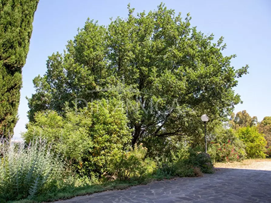 Immagine 11 di Casa trifamiliare in vendita  a Scarlino
