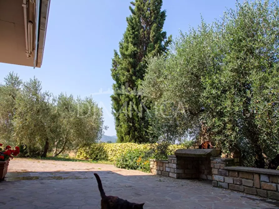 Immagine 25 di Casa trifamiliare in vendita  a Scarlino