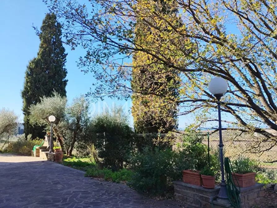 Immagine 26 di Casa trifamiliare in vendita  a Scarlino