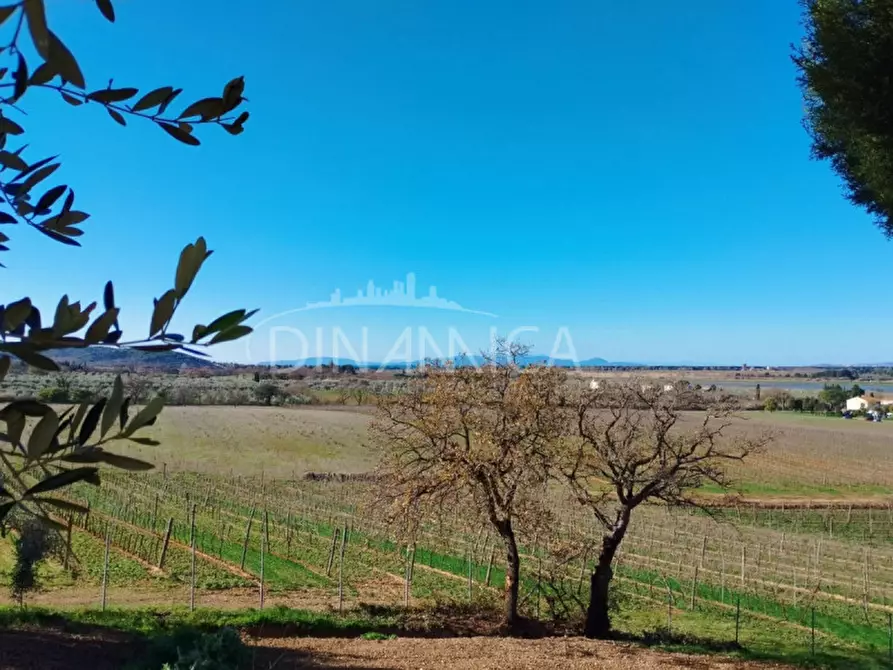 Immagine 28 di Casa trifamiliare in vendita  a Scarlino