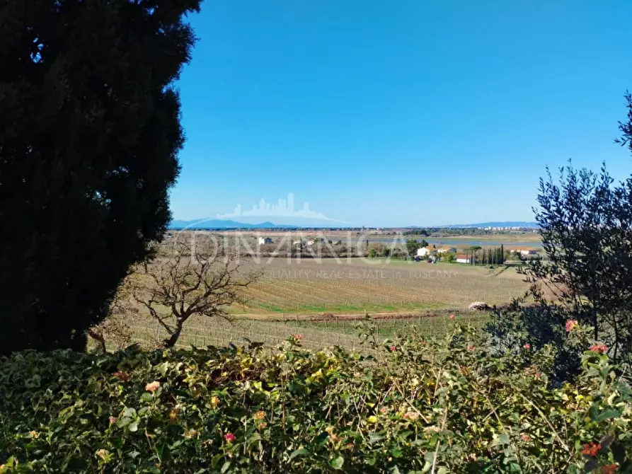 Immagine 37 di Casa trifamiliare in vendita  a Scarlino