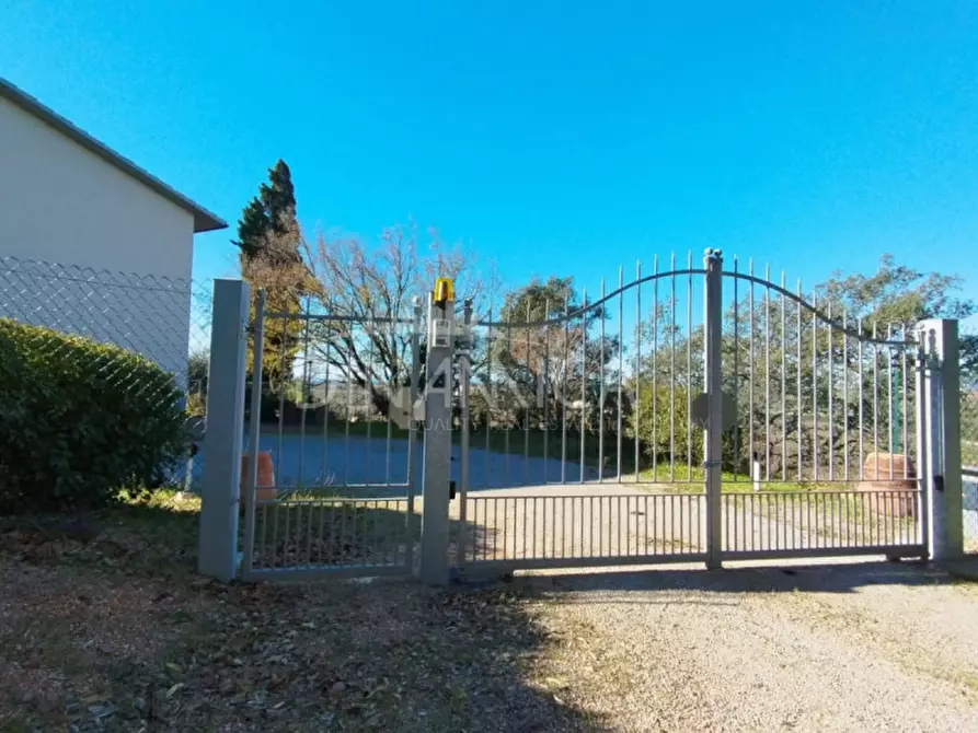 Immagine 39 di Casa trifamiliare in vendita  a Scarlino