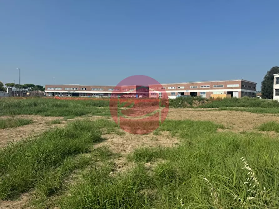 Immagine 3 di Terreno in vendita  a Longiano